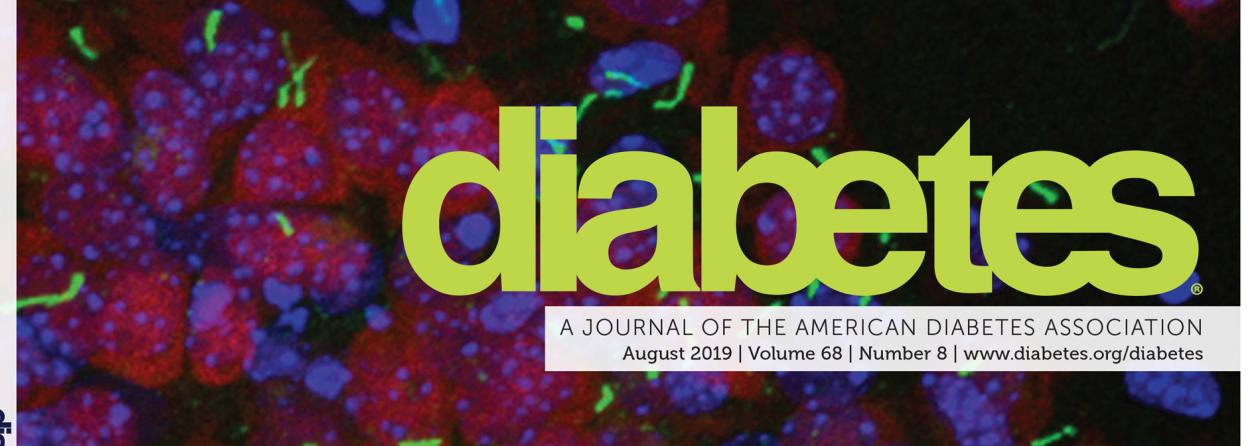Rahmouni publication on cover of Diabetes